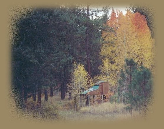 
gathering light ... a retreat offering tree houses, treehouses, the cottage, cabins at gathering light, 
a retreat offering cabins near crater lake national park and klamath basin birding trails in southern oregon. cabins, tree houses, 
rv camping and vacation rentals in the forest on the river near crater lake national park and klamath basin 
birding trails.