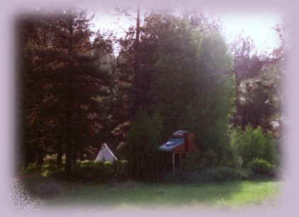 stargazer treehouse and tipi on the river at gathering light ... a retreat offering 
tree houses, treehouses, the cottage, cabins at gathering light, a retreat offering cabins near crater lake national park and klamath basin birding trails in southern oregon. cabins, tree houses, rv camping and vacation rentals in the forest on the river near crater lake national park and klamath basin birding trails.