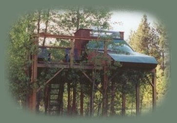 The stargazer tree house, just one of many cabins at Gathering Light ... a retreat, located in southern oregon near crater lake national park and klamath basin birding trails.