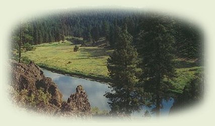 hiking river side at gathering light ... a retreat: tree houses, treehouses, the cottage, cabins, vacation rentals and rv camping near crater lake national park and klamath basin birding trails in southern oregon.