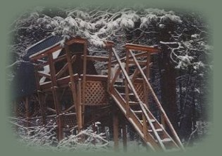 the elfin tree house, one of many cabins to be found at Gathering Light, a retreat located in southern oregon near crater lake national park and klamath basin birding trails. cabins, tree houses, vacation rentals and more in the forest on the river not far from crater lake national park and klamath basin birding trails in southern oregon