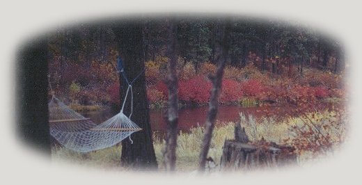 tree houses, treehouses, the cottage, cabins, rv camping and vacation rentals at gathering light ... a retreat located in southern oregon near crater lake national park and klamath basin birding trails.