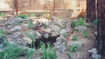 cozy comfort cabins at Gathering Light ... a retreat for nature lovers:
tree houses, treehouses, the cottage, cabins at gathering light, a retreat offering cabins near crater lake national park and klamath basin birding trails in southern oregon. cabins, tree houses, rv camping and vacation rentals in the forest on the river near crater lake national park and klamath basin birding trails.