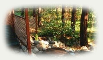 the forest area by the sauna at gathering light ... a retreat located in southern oregon near crater lake national park and klamath basin birding trails. . cabins, tree houses, rv camping and vacation rentals in the forest on the river near crater lake national park and klamath basin birding trails.