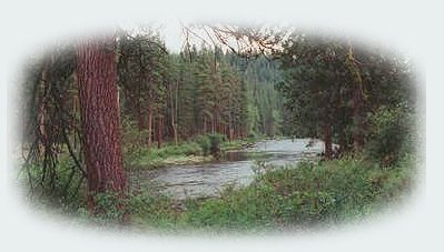 hiking river side at gathering light ... a retreat: tree houses, treehouses, the cottage, cabins, rv camping, vacation rentals on the river in the forest at the retreat located in southern oregon near crater lake national park and klamath basin birding trails. cabins, tree houses, rv camping and vacation rentals in the forest on the river near crater lake national park and klamath basin birding trails in southern oregon.