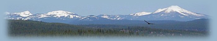 Bald Eagle flying over the Williamson River Valley. Mt Scott on the eastern rim of Crater Lake on the right. Klamath Basin, winter nesting ground and largest population of Bald Eagles in the contiguous states.