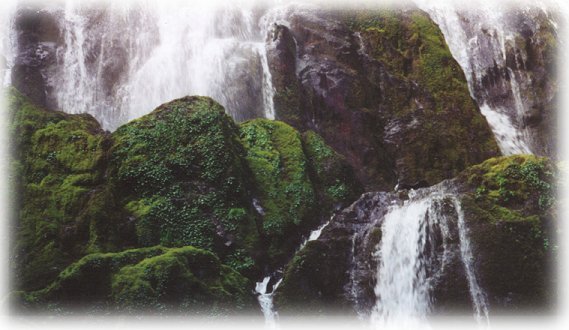 hiking trails to waterfalls in the umpqua river watershed. The north umpqua river is one of many wild and scenic rivers in oregon. enjoy the many hiking trails to waterfalls along the banks of the river. this is Moon Falls in the watershed of the wild and scenic umpqua river.