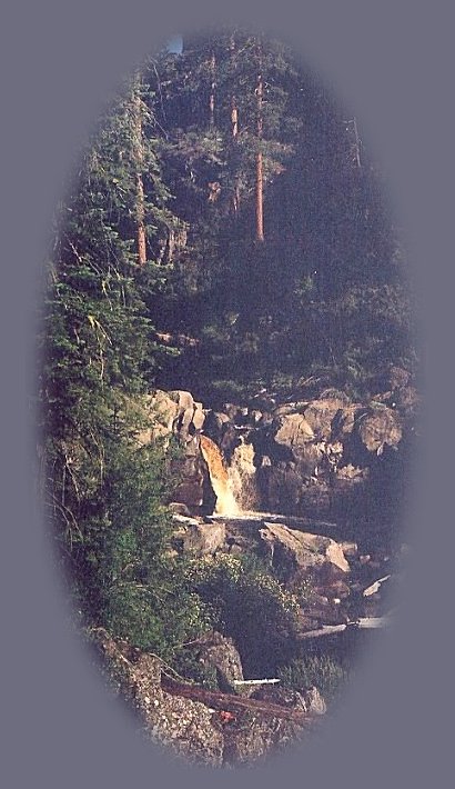 the williamson river gorge in the fremont winema national forest, in the pacific flyway: klamath basin of southern oregon not far from crater lake national park.