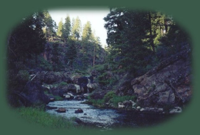 the williamson river gorge in klamath basin in southern oregon not far from crater lake national park.