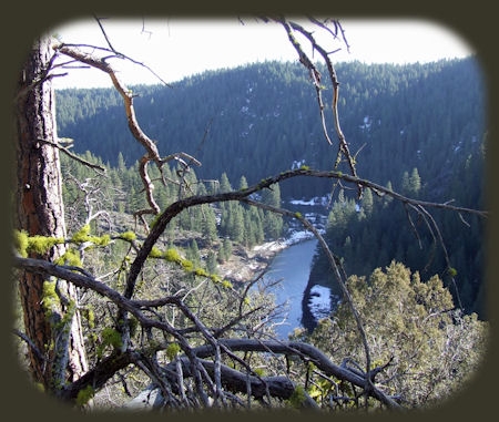 hiking without trails in the hills outside of chiloquin, oregon, not far from wood river wetlands, one of many klamath basin birding trails in the pacific flyway, not far from crater lake national park in southern oregon.