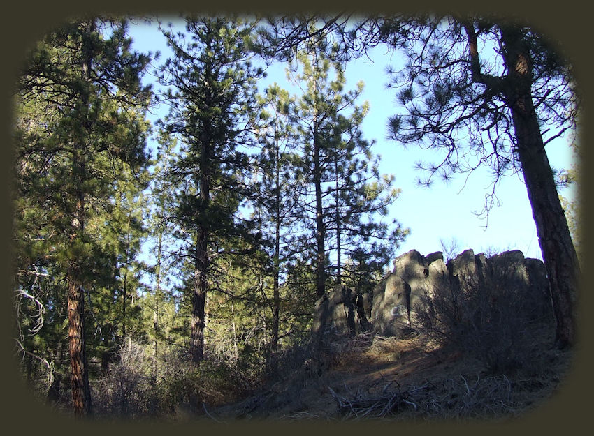 hiking without trails in the hills outside of chiloquin, oregon, not far from wood river wetlands with egrets, pelicans, grebes, and more, as it's one of the many birding trails in klamath basin, the pacific flyway, not far from crater lake national park in southern oregon - about 20 miles from crater lake national park.