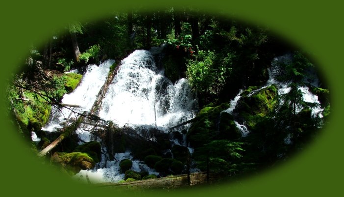 clearwater waterfalls on the rogue umpqua divide, on the rogue umpqua scenic byway in the cascade mountains of oregon; enjoy camping in the umpqua national forest and hiking trails to waterfalls in the wild and scenic umpqua river watershedt: brice creek waterfalls, moon waterfalls, pinard waterfalls, spirit falls; hiking trails off the Rogue Umpqua Scenic byway on the wild and scenic umpqua river in the umpqua national forest: toketee waterfalls, watson falls hiking trails, fall creek falls, susan creek day use area, susan creek hiking trails, susan creek campgrounds off the rogue umpqua scenic byway, toketee campgrounds off the rogue umpqua scenic byway, lemolo campgrounds off the rogue umpqua scenic byway, diamond lake campgrounds, boulder creek campgrounds, canyon creek campgrounds, umpqua national forest campgrounds, clearwater falls campgroud, island campgrounds, lake in the woods campgrounds, bogus creek campgrounds, apple creek campground, steamboat falls campground, williams creek and eagle rock campgrounds, horseshoe bend and canton creek campgrounds, devil's campground on cow creek, cedar creek campground on brice creek, rujada campground on layng creek, whitehorse falls and clearwater falls campgrounds, susan creek waterfalls, north umpqua river, medicine creek native pictorgraphs, indian pictographs, south umpqua river, umpqua river hiking trails accessed off the rogue umpqua scenic byway, forest service campgrounds, blm campgrounds, cavitt creek recreation area, deadline falls, steelhead in the umpqua river, angling, hiking trails to lemolo waterfalls, clearwater waterfalls, whitehorse waterfalls, clearwater river, toketee lake, umpqua hot springs, steamboat creek waterfalls, warm springs waterfalls, lemolo lake; hiking trails on the little river in the umpqua river watershed in the umpqua national forest: wolf creek waterfalls, grotto falls, hemlock waterfalls, hemlock lake, cavitt creek waterfalls, recreation area, shadow waterfalls, yakso waterfalls; hiking trails on the south umpqua river watershed: south umpqua waterfalls, campbell waterfalls, hiking trails in the boulder creek wilderness area, hiking trails in the mt thielsen rogue umpqua divide wilderness area, old growth forests, cathedral waterfalls off the south umpqua river; hiking trails in the row river watershed: moon, spirit and pinard waterfalls.