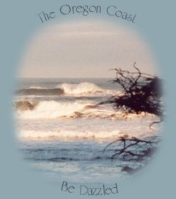 The oregon coast, dazzled by beauty.
