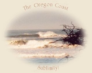 the oregon coast south of coos bay, en route to brookings, oregon.