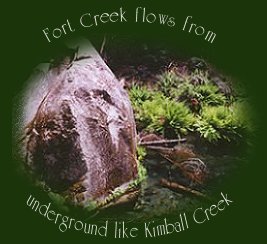 Fort creek flows from underground like kimball creek not far from crater lake national park in southern oregon.