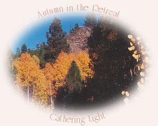 autumn at gathering light ... a retreat in southern oregon near crater lake national park: cabins, tree houses in the forest on the river. travel to gathering light ... a retreat in southern oregon on the west cascades national scenic byway, one of many scenic byways in oregon.