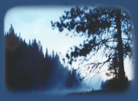 Cabins in the forest at Gathering Light ... a retreat located in southern Oregon near Crater Lake National Park.