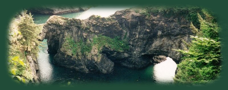 the natural bridge in the pacific ocean at samuel j boardman state park on the oregon coast.