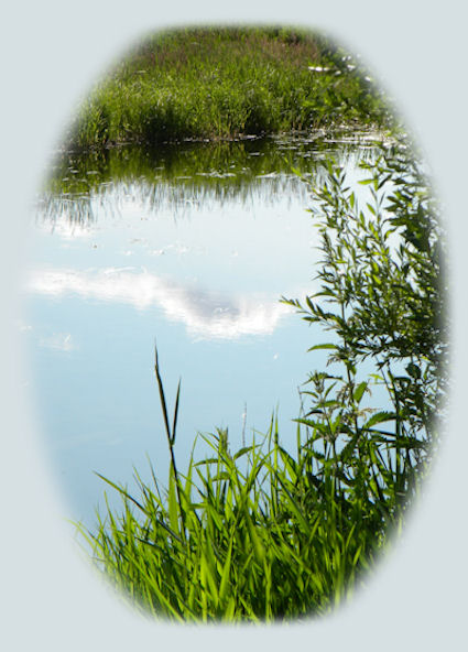 The wood river wetlands birding trail near to crater lake and gathering light ... a retreat in southern oregon.