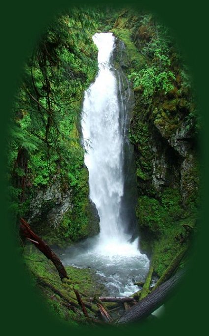 enjoy hiking trails to waterfalls in the wild and scenic umpqua river watershed in the umpqua national forest: brice creek waterfalls, moon waterfalls, pinard waterfalls, spirit falls; hiking trails off the Rogue Umpqua Scenic byway on the wild and scenic umpqua river in the umpqua national forest: toketee waterfalls, watson falls hiking trails, fall creek falls, susan creek day use area, susan creek hiking trails, susan creek campgrounds off the rogue umpqua scenic byway, toketee campgrounds off the rogue umpqua scenic byway, lemolo campgrounds off the rogue umpqua scenic byway, diamond lake campgrounds, boulder creek campgrounds, canyon creek campgrounds, umpqua national forest campgrounds, clearwater falls campgroud, island campgrounds, lake in the woods campgrounds, bogus creek campgrounds, devil's campground on cow creek, cedar creek campground on brice creek, rujada campground on layng creek, apple creek campgrounds, whitehorse falls campground, susan creek waterfalls, north umpqua river, south umpqua river, umpqua river hiking trails accessed off the rogue umpqua scenic byway, forest service campgrounds, blm campgrounds, travel oregon through the cascade mountains, cavitt creek recreation area, deadline falls, steelhead in the umpqua river, angling, hiking trails to lemolo waterfalls, clearwater waterfalls, whitehorse waterfalls, clearwater river, toketee lake, umpqua hot springs, steamboat creek waterfalls, warm springs waterfalls, lemolo lake; hiking trails on the little river in the umpqua river watershed in the umpqua national forest: deer creek waterfalls, grotto falls, hemlock waterfalls, hemlock lake, cavitt creek waterfalls, recreation area, shadow waterfalls, yakso waterfalls; hiking trails on the south umpqua river watershed: south umpqua waterfalls, campbell waterfalls, hiking trails in theboulder creek wilderness area, hiking trails in the mt thielsen rogue umpqua divide wilderness area, cathedral waterfalls off the south umpqua river; hiking trails in the row river watershed: moon, spirit and pinard waterfalls.
