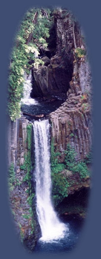 beautiful toketee waterfall on the wild and scenic umpqua river; enjoy camping in the umpqua national forest and hiking trails to waterfalls in the wild and scenic umpqua river watershedt: brice creek waterfalls, moon waterfalls, pinard waterfalls, spirit falls; hiking trails off the Rogue Umpqua Scenic byway on the wild and scenic umpqua river in the umpqua national forest: toketee waterfalls, watson falls hiking trails, fall creek falls, susan creek day use area, susan creek hiking trails, susan creek campgrounds off the rogue umpqua scenic byway, toketee campgrounds off the rogue umpqua scenic byway, lemolo campgrounds off the rogue umpqua scenic byway, diamond lake campgrounds, boulder creek campgrounds, canyon creek campgrounds, umpqua national forest campgrounds, clearwater falls campgroud, island campgrounds, lake in the woods campgrounds, bogus creek campgrounds, apple creek campground, steamboat falls campground, williams creek and eagle rock campgrounds, horseshoe bend and canton creek campgrounds, devil's campground on cow creek, cedar creek campground on brice creek, rujada campground on layng creek, whitehorse falls and clearwater falls campgrounds, susan creek waterfalls, north umpqua river, medicine creek native pictorgraphs, indian pictographs, south umpqua river, umpqua river hiking trails accessed off the rogue umpqua scenic byway, forest service campgrounds, blm campgrounds, cavitt creek recreation area, deadline falls, steelhead in the umpqua river, angling, hiking trails to lemolo waterfalls, clearwater waterfalls, whitehorse waterfalls, clearwater river, toketee lake, umpqua hot springs, steamboat creek waterfalls, warm springs waterfalls, lemolo lake; hiking trails on the little river in the umpqua river watershed in the umpqua national forest: wolf creek waterfalls, grotto falls, hemlock waterfalls, hemlock lake, cavitt creek waterfalls, recreation area, shadow waterfalls, yakso waterfalls; hiking trails on the south umpqua river watershed: south umpqua waterfalls, campbell waterfalls, hiking trails in theboulder creek wilderness area, hiking trails in the mt thielsen rogue umpqua divide wilderness area, cathedral waterfalls off the south umpqua river; hiking trails in the row river watershed: moon, spirit and pinard waterfalls.