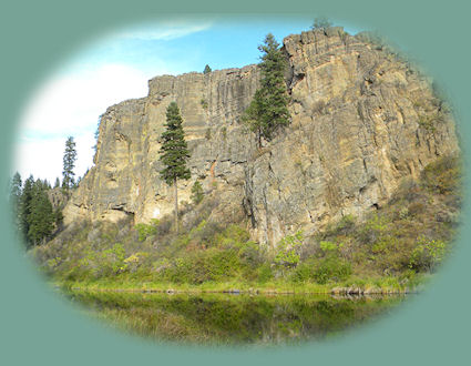 The 
williamson river gorge in the fremont winema national forest on the southeastern corner of crater lake national park in oregon: all within the system of birding trails in klamath basin.