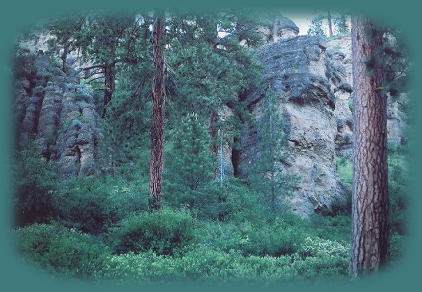 cliffs shaping the williamson river gorge in the fremont winema national forest, southern oregon, klamath basin near crater lake national park.