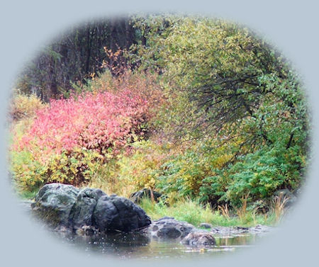 wood river wetlands, one of the many klamath basin birding trails not far from gathering light ... a retreat, located in southern oregon near crater lake national park: cabins, treehouses in the forest on the river.