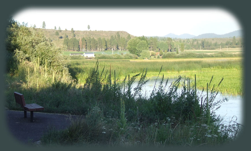 wood river wetlands, ideal for birders as it's one of the many klamath basin birding trails in the pacific flyway of southern oregon, not far from crater lake national park in the cascade mountains of southern oregon.