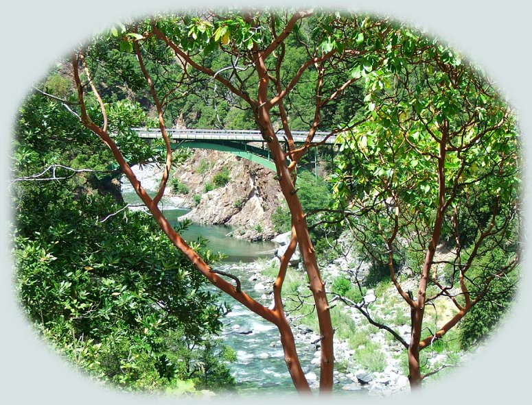 travel northern california and the beautiful marble and salmon mountains. raft the salmon river. hiking mountain trails in the russian wilderness area of the salmon mountains. camp in forest service campgrounds in the klamath national forest.