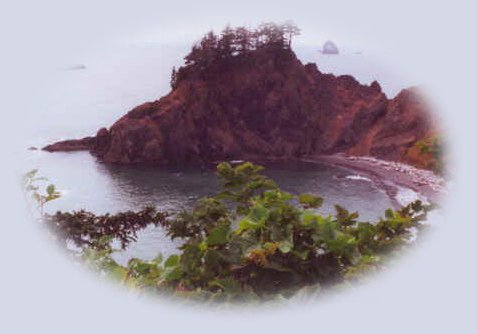 Sightseeing on the oregon coast, camping and picnicking at Oregon State Parks: Cape Sebastian, Cape Perpetua, Samuel J Boardman State Park, Carl Washburne State Park and more.
