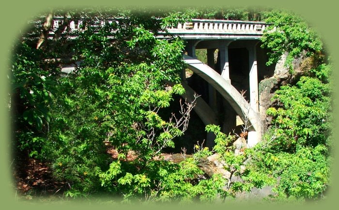 travel oregon and northern california and see mill creek bridge near waterfalls and the avenue of giant boulders, a brief detour off the crater lake highway, mcarthur burney waterfalls, mcarthur burney hiking trails, mcarthur burney state park, mt shasta, hike from bunny flats on mt shasta, castle lake, shasta city, california, dunsmuir, california, mccloud, california, mccloud river, sacramento river, upper mccloud river waterfalls, middle mccloud river waterfalls, lower mccloud river waterfalls, hiking trails along the mccloud river, along the sacramento river, on mt shasta, hiking trails to hedge creek waterfalls in dunsmuir, california, hiking trails along the sacramento river to mossbrae waterfalls in dunsmuir, california, castle crags state park, hiking trails in castle crags wilderness area, camping in castle crags state park, camping on the mccloud river at fowler creek campground, hiking trails to mountain lakes, hiking trails around castle lake, volcanoes, geology, oregon geology, california geology, shasta trinity national forest, rogue national forest, national forests, wilderness areas, russian wilderness areas, castle crags wilderness areas, lava flows, lava beds national monument, national wildlife refuges, wetlands.