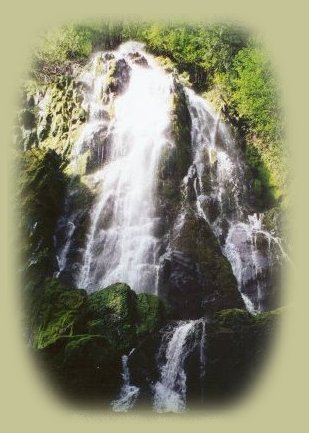 enjoy hiking trails to waterfalls in the wild and scenic umpqua river watershed in the umpqua national forest: brice creek waterfalls, moon waterfalls, pinard waterfalls, spirit falls; hiking trails off the Rogue Umpqua Scenic byway on the wild and scenic umpqua river in the umpqua national forest: toketee waterfalls, watson falls hiking trails, fall creek falls, susan creek day use area, susan creek hiking trails, susan creek campgrounds off the rogue umpqua scenic byway, toketee campgrounds off the rogue umpqua scenic byway, lemolo campgrounds off the rogue umpqua scenic byway, diamond lake campgrounds, boulder creek campgrounds, canyon creek campgrounds, umpqua national forest campgrounds, clearwater falls campgroud, island campgrounds, lake in the woods campgrounds, bogus creek campgrounds, devil's campground on cow creek, cedar creek campground on brice creek, rujada campground on layng creek, apple creek campgrounds, whitehorse falls campground, susan creek waterfalls, north umpqua river, south umpqua river, umpqua river hiking trails accessed off the rogue umpqua scenic byway, forest service campgrounds, blm campgrounds, travel oregon through the cascade mountains, cavitt creek recreation area, deadline falls, steelhead in the umpqua river, angling, hiking trails to lemolo waterfalls, clearwater waterfalls, whitehorse waterfalls, clearwater river, toketee lake, umpqua hot springs, steamboat creek waterfalls, warm springs waterfalls, lemolo lake; hiking trails on the little river in the umpqua river watershed in the umpqua national forest: deer creek waterfalls, grotto falls, hemlock waterfalls, hemlock lake, cavitt creek waterfalls, recreation area, shadow waterfalls, yakso waterfalls; hiking trails on the south umpqua river watershed: south umpqua waterfalls, campbell waterfalls, hiking trails in theboulder creek wilderness area, hiking trails in the mt thielsen rogue umpqua divide wilderness area, cathedral waterfalls off the south umpqua river; hiking trails in the row river watershed: moon, spirit and pinard waterfalls.