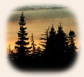 Sunlight's retreat in the forest at Gathering Light ... a retreat in southern oregon near crater lake national park in klamath basin.