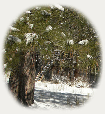 stay at gatheringlight retreat in autumn and Photographs of Castle Crags State Park, south of Dunsmuir in northern California, near Mt Shasta. travel to castle crags state park in california, hiking trails at castle crags state park, hiking trails at castle crags wilderness area, castle crags state park near mt shasta, near shasta city, california, near dunsmuir, california, near mccloud california, travel to dunsmuir california, travel california, travel to mccloud california, california state parks, california hiking trails, travel to hiking trails in the castle crags wilderness.
