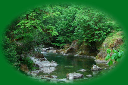 Quartz creek, tributary to the south santiam river in oregon, accessed off the over the river and through the woods oregon scenic byway.
