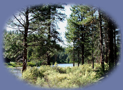 hiking along the river at the retreat in klamath basin in oregon, near crater lake national park, near gathering light ... a retreat: cabins, treehouses in the forest on the river.