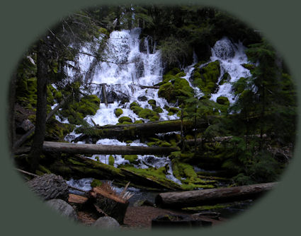 clearwater falls, one of the many waterfalls in the watershed of the wild and scenic umpqua river, accessed on the rogue umpqua scenic byway, oregon hwy 138; follow it to the north entrance of crater lake national park.